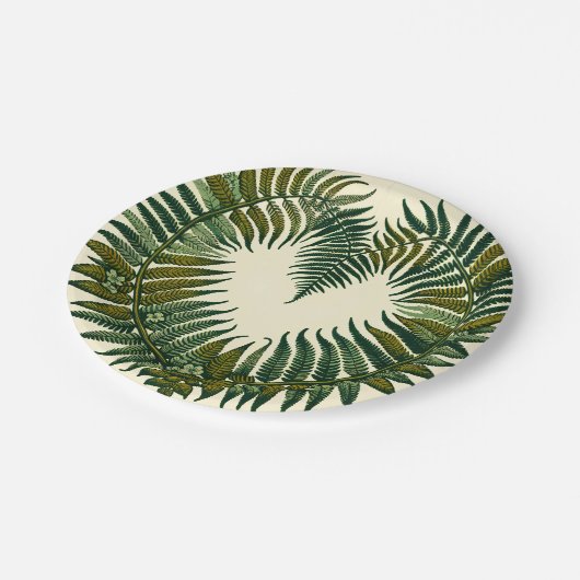 Assiettes En Carton Fern (Angle)