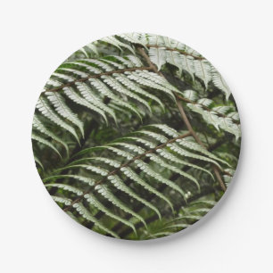 Assiettes En Carton Fern Fronds II Dark Green Nature