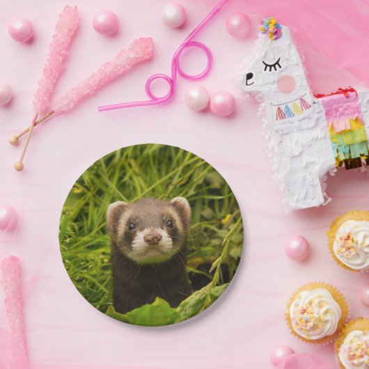 Assiettes En Carton Ferret Brown dans l'herbe (Fête)