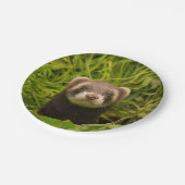 Assiettes En Carton Ferret Brown dans l'herbe (Angle)