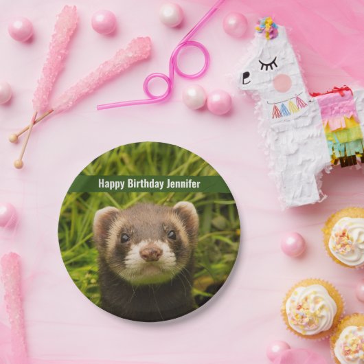 Assiettes En Carton Ferret Brown dans l'herbe Joyeux anniversaire (Fête)
