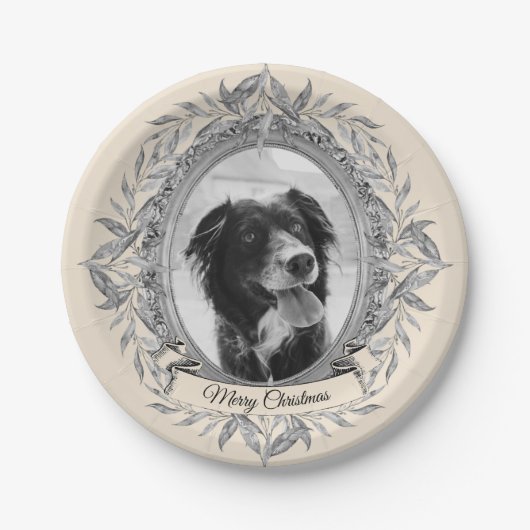 Assiettes En Carton Festif Holiday Silver Frame Photo (Devant)