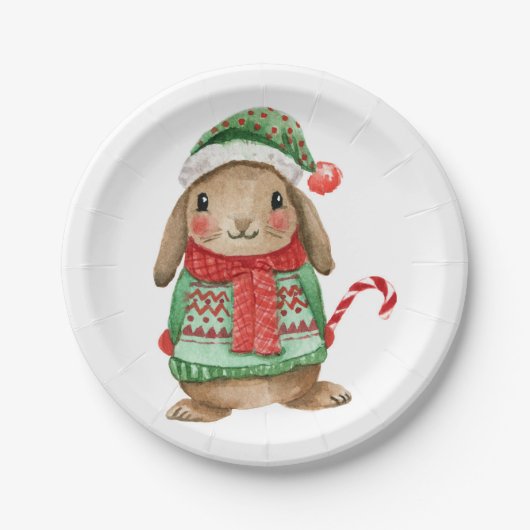 Assiettes En Carton Festive christmas bunny with candy cane (Devant)