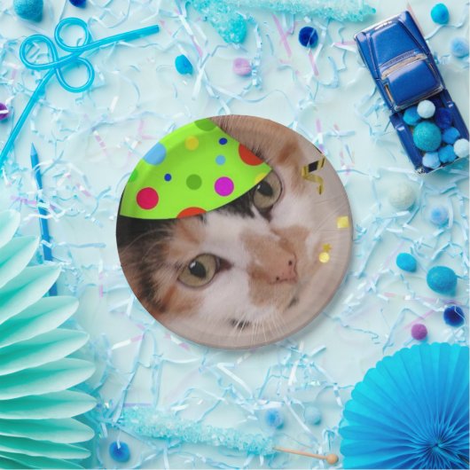 Assiettes En Carton Fête d'anniversaire Calico Cat (Fête)