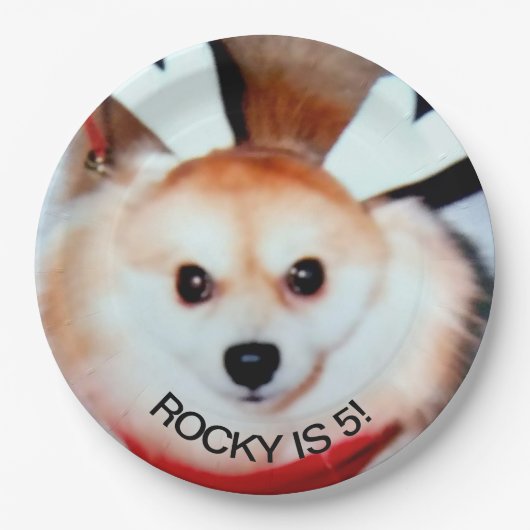 Assiettes En Carton Fête d'anniversaire de chien photo personnalisée (Devant)