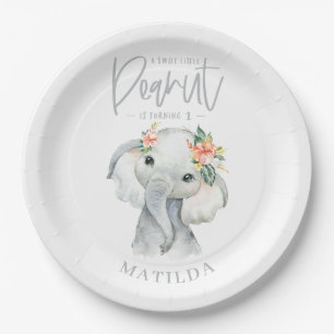 Assiettes En Carton Fête d'anniversaire de l'éléphant de la couleur