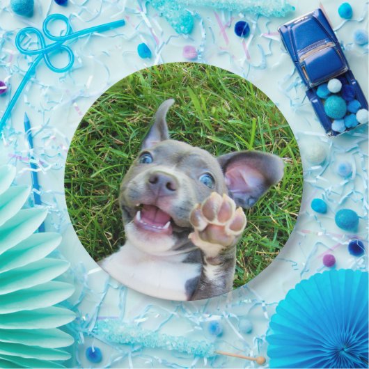 Assiettes En Carton Fête d'anniversaire faite sur commande (Fête)