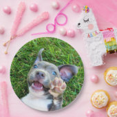 Assiettes En Carton Fête d'anniversaire faite sur commande (Fête)