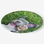 Assiettes En Carton Fête d'anniversaire faite sur commande (Angle)