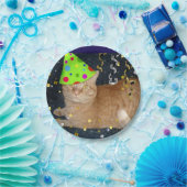 Assiettes En Carton Fête d'anniversaire Orange Tabby Cat (Fête)