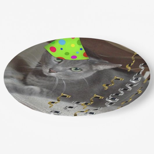 Assiettes En Carton Fête d'anniversaire Russe Bleu Chat (Angle)