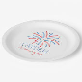 Assiettes En Carton Feu d'artifice 4 juillet Anniversaire (Angle)
