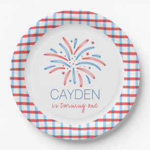 Assiettes En Carton Feu d'artifice 4 juillet Anniversaire