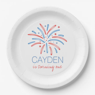 Assiettes En Carton Feu d'artifice Anniversaire du 4 juillet