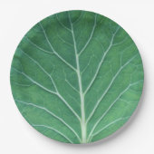 Assiettes En Carton Feuille de choux verte 0933 (Devant)