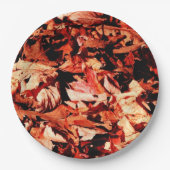Assiettes En Carton feuilles d'automne (Devant)