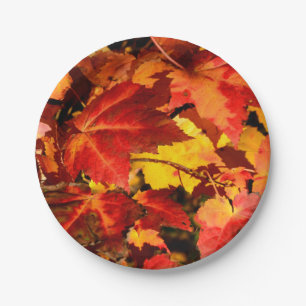 Assiettes En Carton Feuilles d'automne colorées, feuille d'érable roug