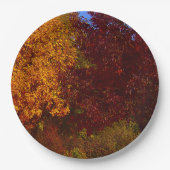 Assiettes En Carton Feuilles d'automne Jaune et pourpre, ZSSPG (Devant)