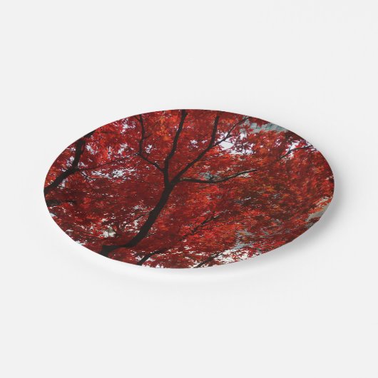 Assiettes En Carton Feuilles de Crimson et membres noirs sur un (Angle)