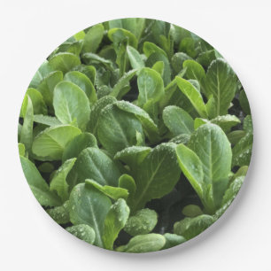 Assiettes En Carton Feuilles de salade pour Gardener nature amoureux d