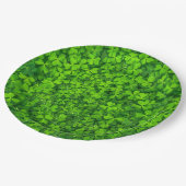 Assiettes En Carton Feuilles de trèfle vert avec gouttes d'eau (Angle)