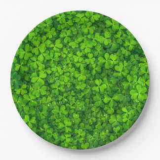 Assiettes En Carton Feuilles de trèfle vert avec gouttes d'eau