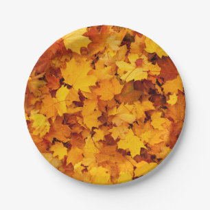 Assiettes En Carton Feuilles d'été indiens