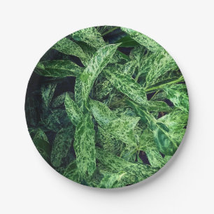 Assiettes En Carton Feuilles verts