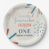 Assiettes En Carton Firecracker 4 juillet Fireworks Anniversaire (Devant)