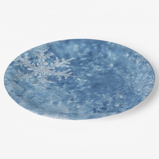 Assiettes En Carton Flammes de neige congelées de Noël (Angle)