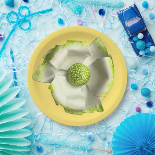 Assiettes En Carton Fleur amusante de marguerite printemps été mariage (Fête)