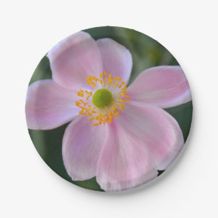 Assiettes En Carton Fleur d'anémone japonaise rose
