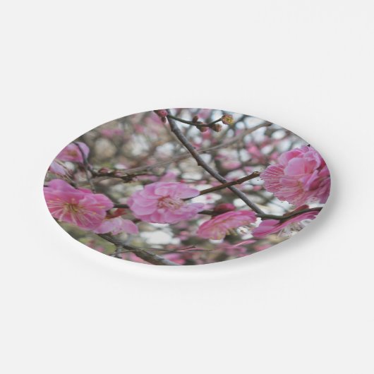 Assiettes En Carton Fleur de cerisier rose / Sakura / ク(桜) (Angle)