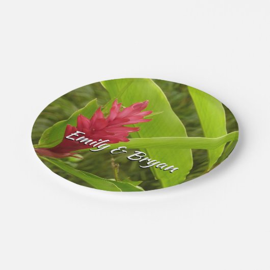 Assiettes En Carton Fleur de gingembre rouge (Alpinia) tropicale (Angle)
