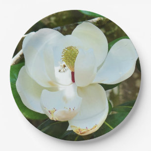 Assiettes En Carton Fleur de Magnolia blanche