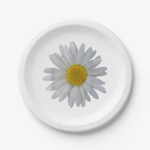 Assiettes En Carton Fleur marguerite blanche, marguerite florissante,