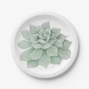 Assiettes En Carton Fleur Monnaie Vert Succulent Cactus Soirée de mari