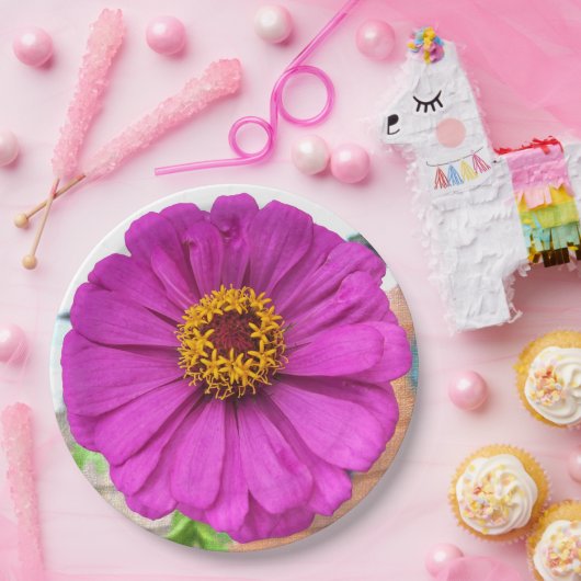 Assiettes En Carton Fleur pourpre Zinnia en fleur (Fête)