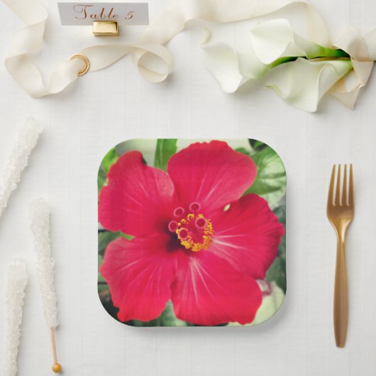 Assiettes En Carton Fleur rouge de Hibiscus Rosa-sinensis (Mariage)