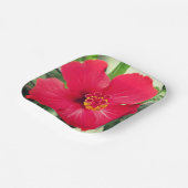 Assiettes En Carton Fleur rouge de Hibiscus Rosa-sinensis (Angulaire)