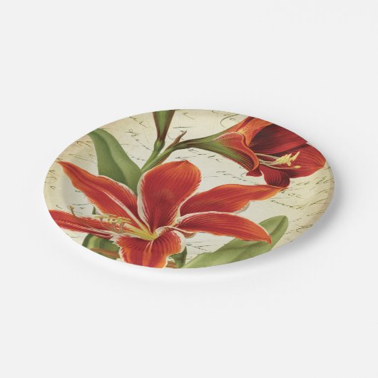 Assiettes En Carton Fleur rouge de Noël d'amaryllis botanique (Angle)