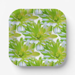 Assiettes En Carton Fleur vert vert vert vert pâle marguerite