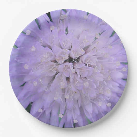 Assiettes En Carton Fleur violette (Devant)
