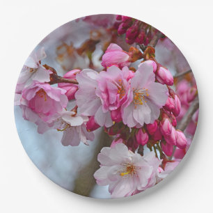 Assiettes En Carton Fleurs de cerisiers roses