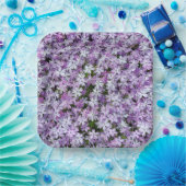 Assiettes En Carton Fleurs violettes Phlox (Fête)