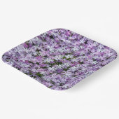 Assiettes En Carton Fleurs violettes Phlox (Angulaire)