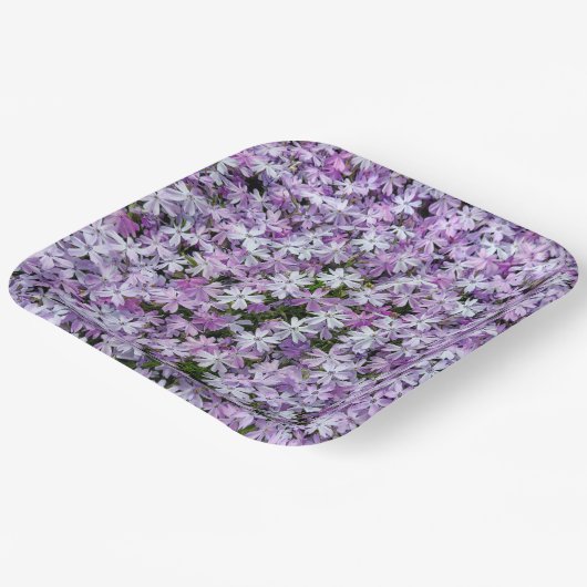 Assiettes En Carton Fleurs violettes Phlox (Angulaire)