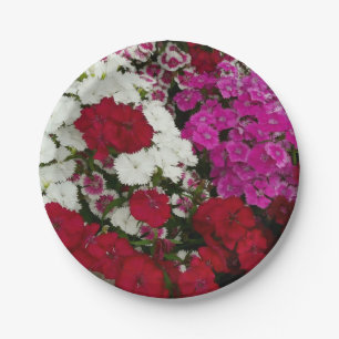 Assiettes En Carton Floral Dianthus blanc, rose et rouge