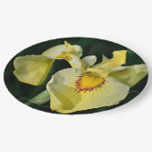 Assiettes En Carton Floral d'Iris japonais jaune (Angle)