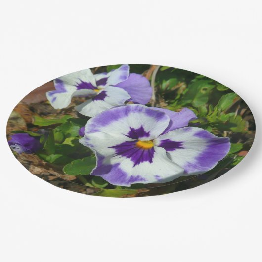 Assiettes En Carton Floral Purple and White Pansies (Angle)